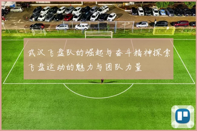 武汉飞盘队的崛起与奋斗精神探索飞盘运动的魅力与团队力量