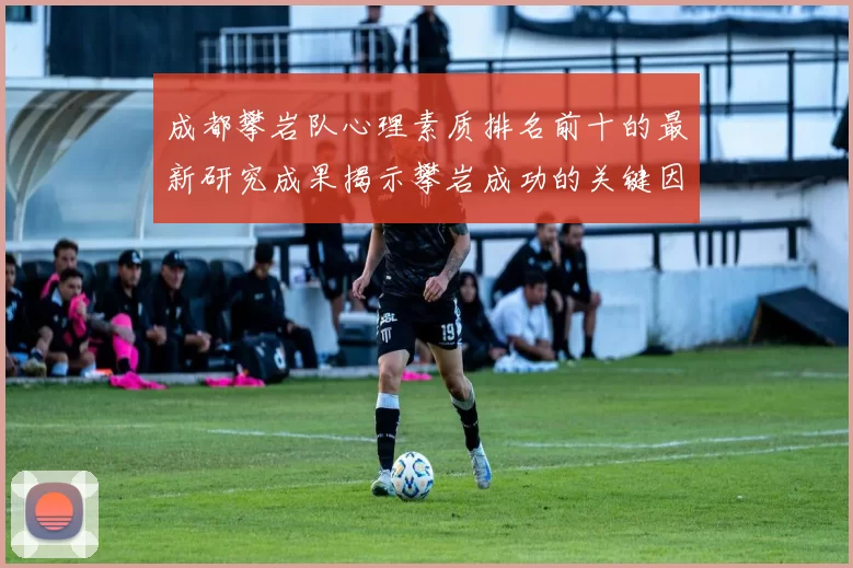 成都攀岩队心理素质排名前十的最新研究成果揭示攀岩成功的关键因素