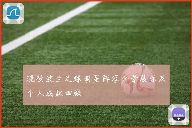 现役波兰足球明星阵容全景展示及个人成就回顾