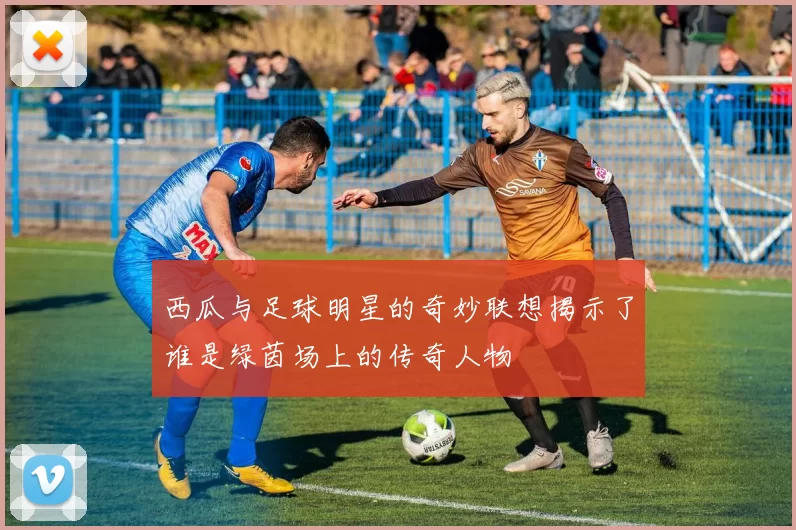 西瓜与足球明星的奇妙联想揭示了谁是绿茵场上的传奇人物