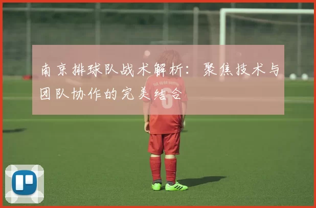 南京排球队战术解析：聚焦技术与团队协作的完美结合
