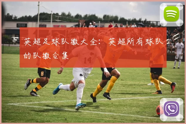 英超足球队徽大全：英超所有球队的队徽合集