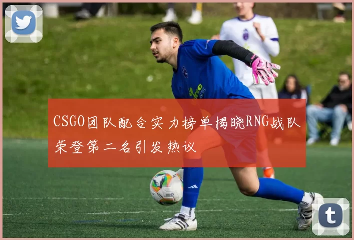 CSGO团队配合实力榜单揭晓RNG战队荣登第二名引发热议