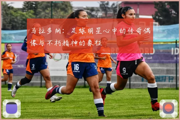 马拉多纳：足球明星心中的传奇偶像与不朽精神的象征