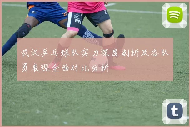 武汉乒乓球队实力深度剖析及各队员表现全面对比分析