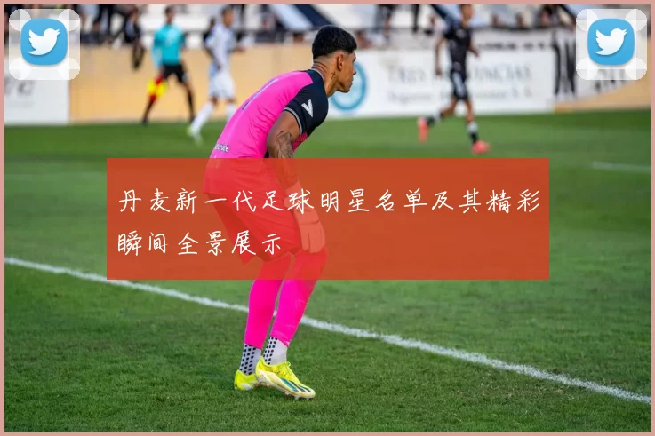 丹麦新一代足球明星名单及其精彩瞬间全景展示