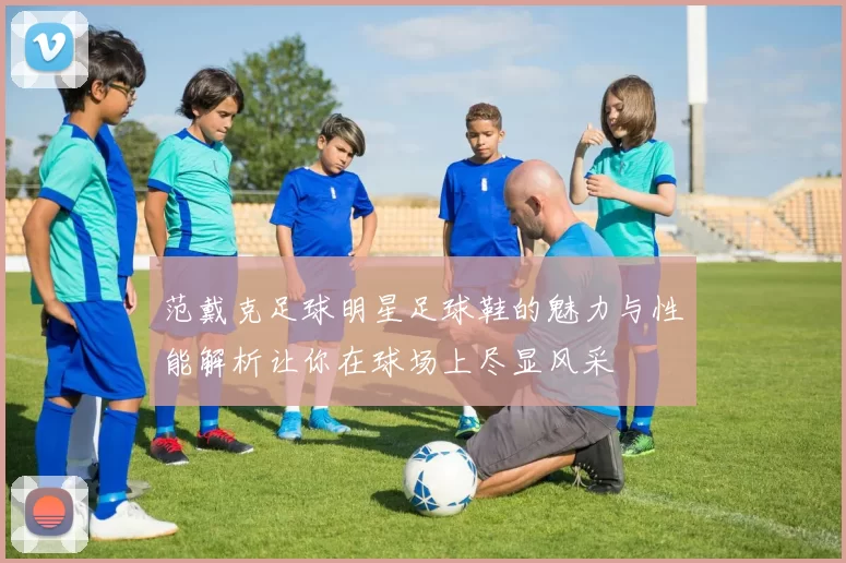 范戴克足球明星足球鞋的魅力与性能解析让你在球场上尽显风采