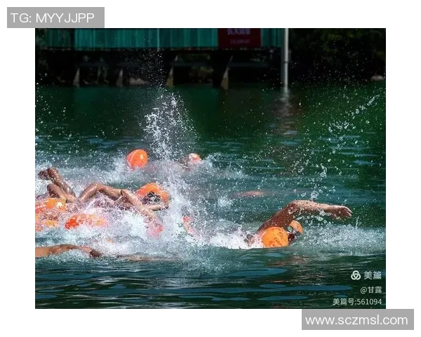 游泳比赛规则详解与赛事公平性保障措施分析