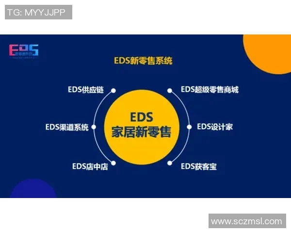 武汉篮球队运营体系解析与战术创新研究